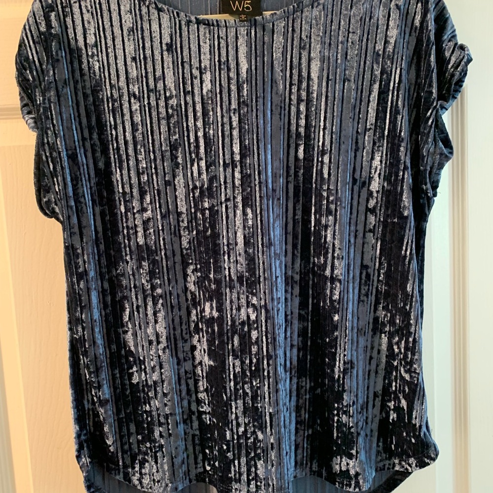 Blue velvet top